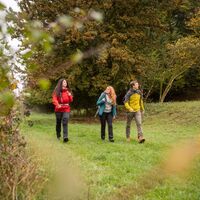 Wanderer im Wiesental des Rundwanderwegs "Rund um Dalem"