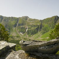 mittig mit den Rinnen, der Kerschkern