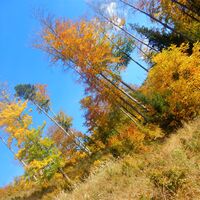 Pernitz/Ortmann - Hohe Mandling - Waxeneckhaus - Auf dem Hals - Kreuth - Muggendorf