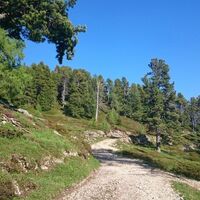 Wanderweg am Stoderzinken