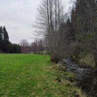 Biberweg neben Kösslbach