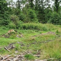 20.8 km Veichterwald