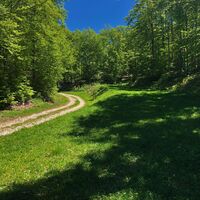 Weg oberhalb von Fully