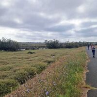 Wanderung im Domaine de Maraval