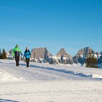 Winterwandern Prodalp