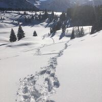 Schneezauber