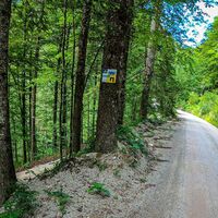 Variante 1: WP 40703-0009 Rettenbachtal, km27,4 Seehöhe: 580m,  Distanz 4km nach Bad Ischl
