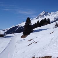 Bestens präparierte Winterwanderwege