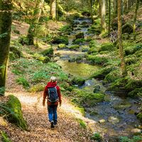 Unterwegs im Schweinbachtal begleitet den Wanderer ein malerischer Bachlauf