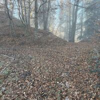 Hier dann links weiter, gradaus owezua könnt man nach Adnet via dem dortigen Moos runterstechen