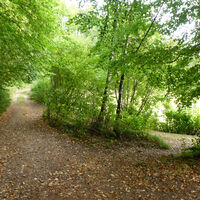 HI_RW2_P1070839_AnmMark_FotoVF