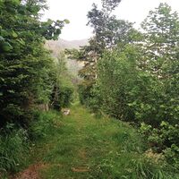 Gföllweg über dem Untertal