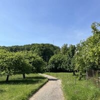 Dann auf dem 'Wiener Wallfahrerweg' weiter..