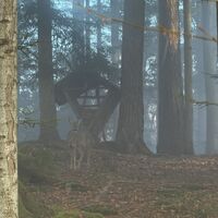 Rechter Hand eine Wildfütterung mit gar nicht scheuem Gast. Aber so nah wars nicht (ist gezoomt 8x)