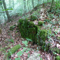 Mauerreste der Burgruine Waldenfels