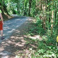 Gemütliches Dahinwandern