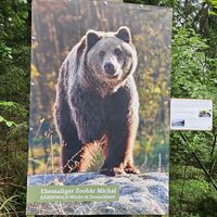 Info zu einem verwahrlosten Zoobär