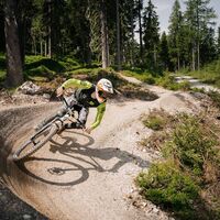 Mountainbiker auf Buckelwald Trail