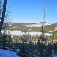 Futterkogel