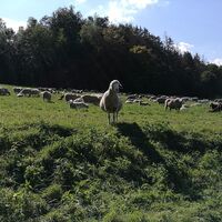 Von Pößneck durch die Zechsteinriffe
