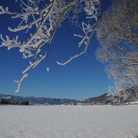 natur historien lehrpfad im winter_img_24280577