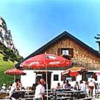 Gräner Edenalm.