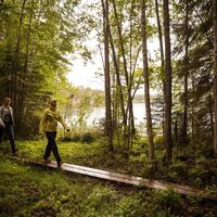 Orrainpolku Weg