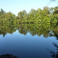 Lanzenbrunner Weiher