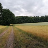 Von der Gengelsbergwiese kommend zum Taubental