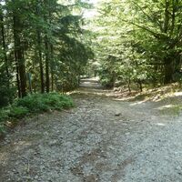 Wanderweg Nr. 3 nach Rohrmünz