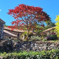 georando sorbs 35 -@ Sylvie Villedieu - CD34