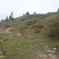 Aufstieg zum Gipfel Monte Roen