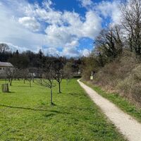 Auen-Trail - Steyr Unterhimmler Au