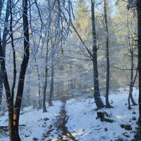 Im Wechsel von Nebel auf Sonnenschein