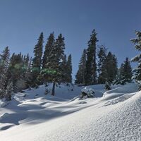 Winteridylle im Gipfelbereich