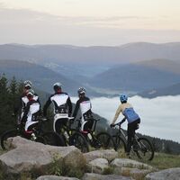 Mountainbiker auf dem Gipfeltrail