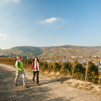 In den Ahrweiler Weinbergen