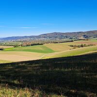 Ausblick nach der Bilder-Eiche