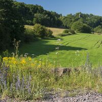 Steinbruchgelände bei Rammelsbach