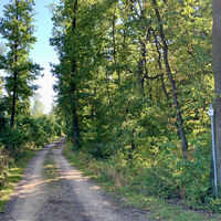 Zistersdorfer Wald, Kaiserbründlweg, Zistersdorf