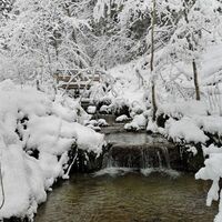 Scheffau_GlasklareBäche_Winterrunde_Bach_Wilder Kaiser