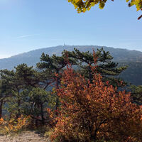 Pausenblick