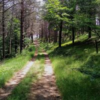Wanderung du Vialais0043 ©Gilles Delerue - ADT34