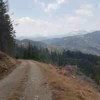 13.4 km Raubvogel und Blick auf die Veitsch