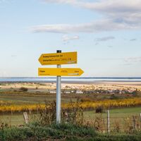 Wanderweg Oslip - Schützen - Oggau