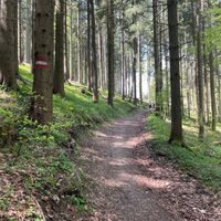 Pfannstein-Trail - Micheldorf
