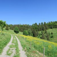 Entlang des Bernauer Panoramaweg