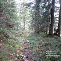 im Wald am Riegel runter zum Fröschnitzsattell