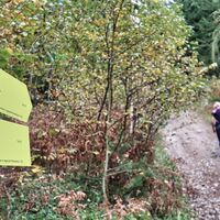 Der etwas steilere Aufstieg bis zu den Türmen