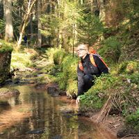 Genießerpfad Calw - Wasser hautnah im Rötelbachtal